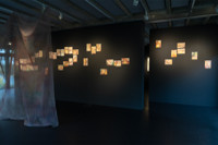 Lumen