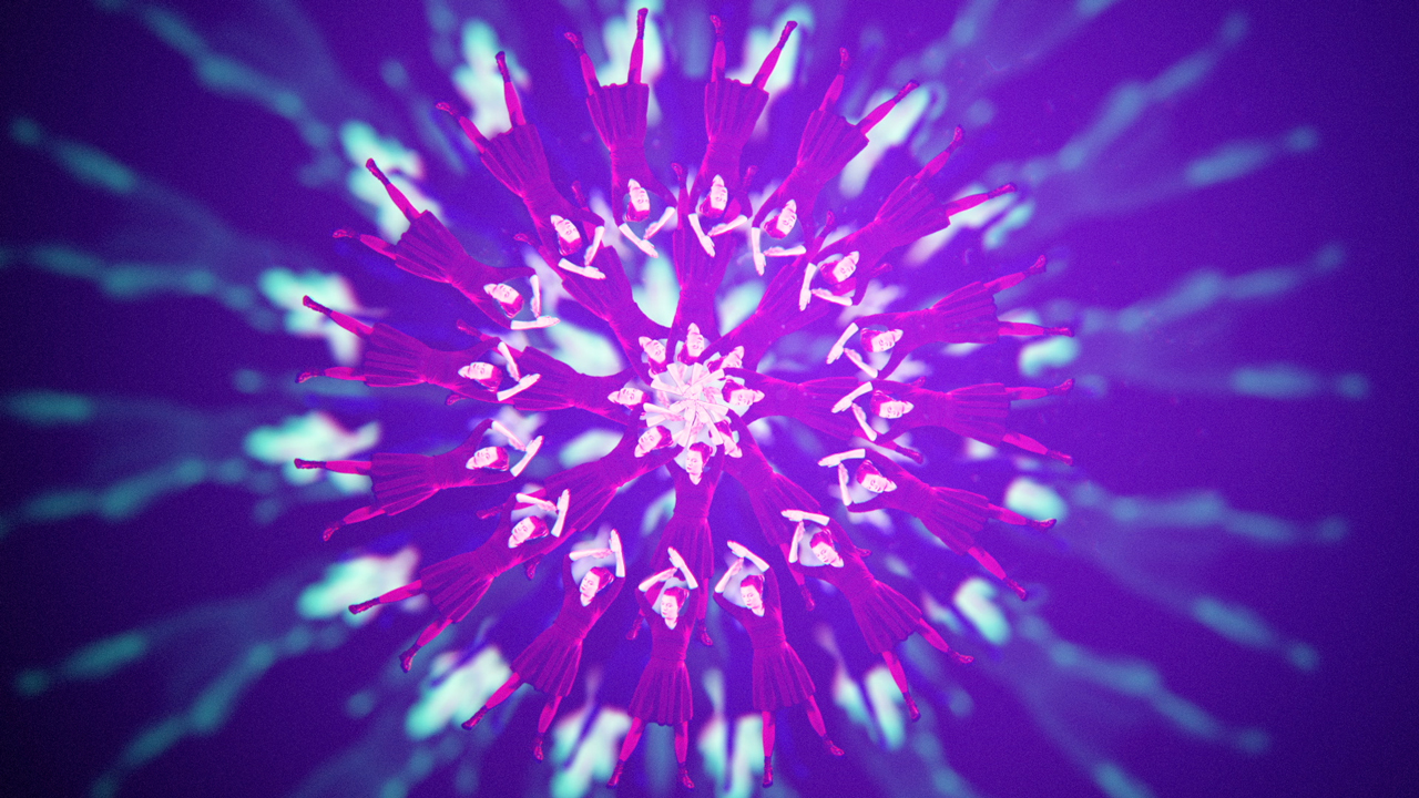 Sergej Auto Polearis Prvek Video